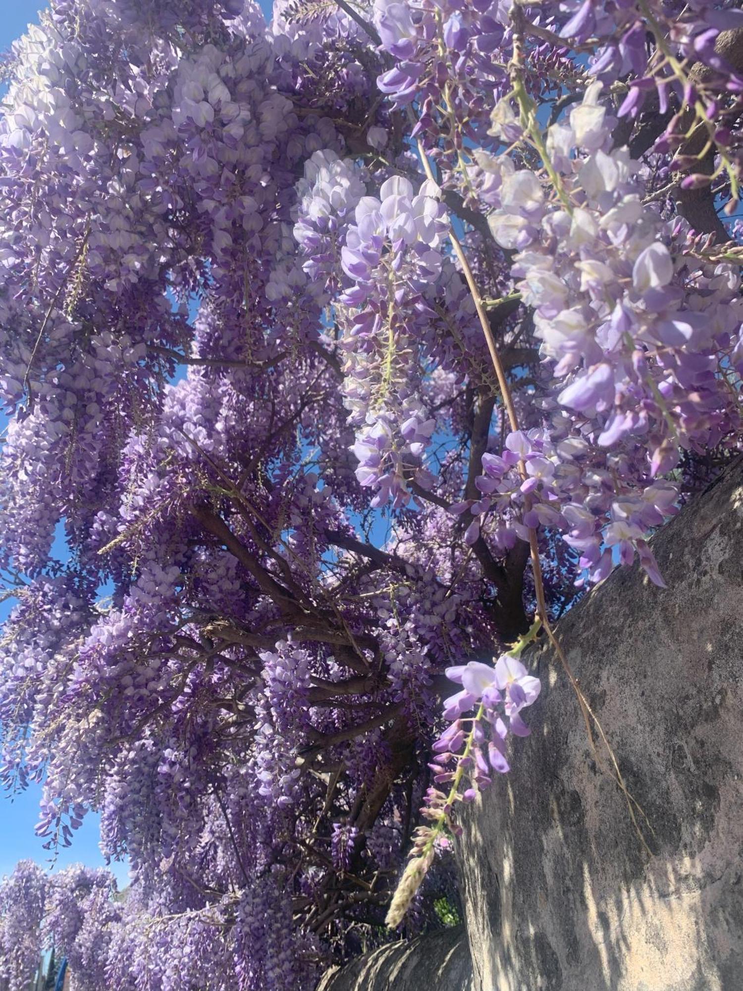 Paradisa28 - Amalfi - Zona Ospedale Cisanello Apartment